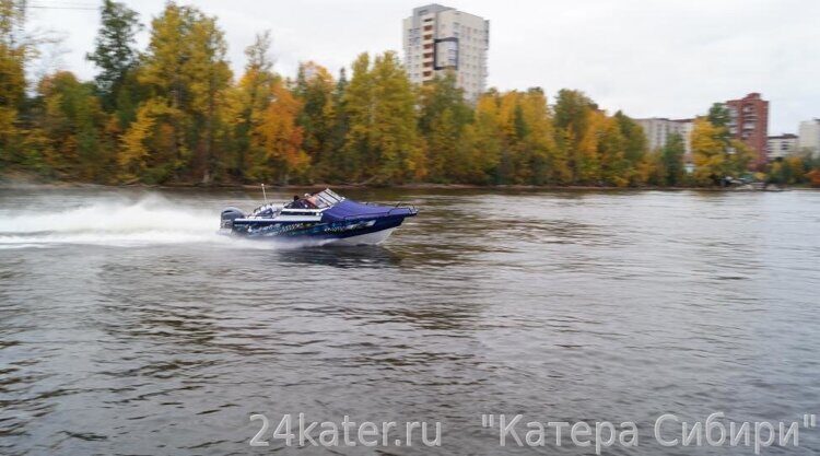 Berkut Active DC