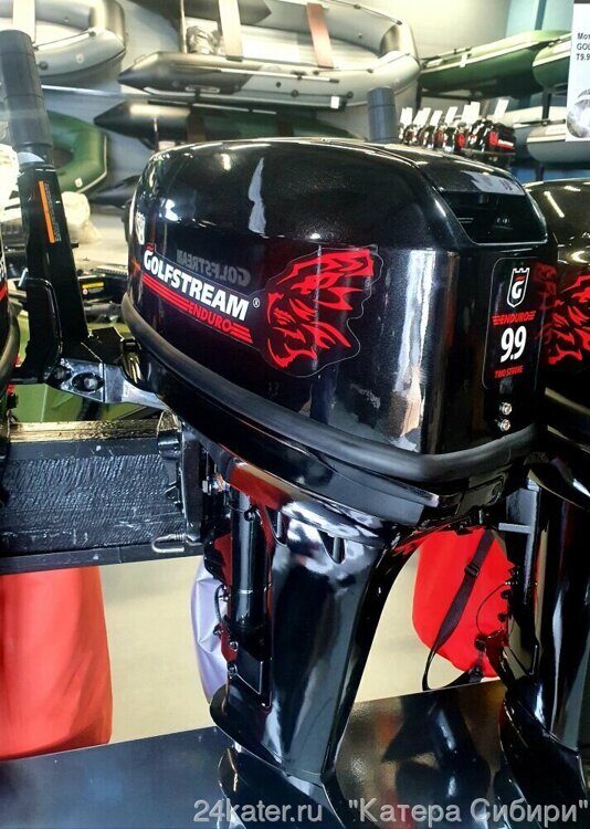 Лодочный мотор Golfstream TE9.9BMS Enduro