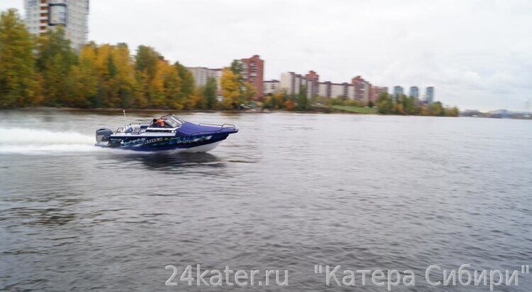 Berkut Active DC