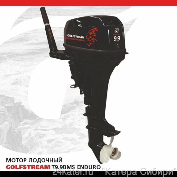 Лодочный мотор Golfstream TE9.9BMS Enduro